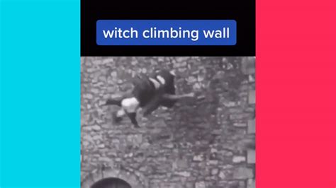 Witch clombing wall